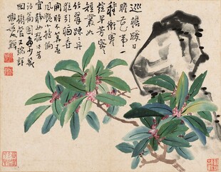 国画花鸟图中的枇杷与鸟