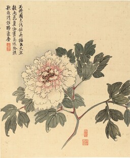 国画牡丹图