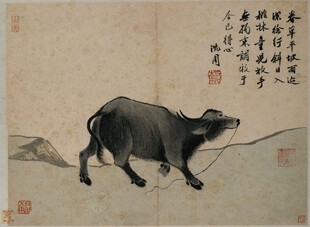 古画中的独行黑牛