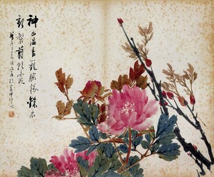 国画牡丹图