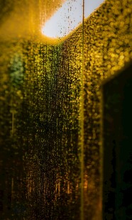 金色梦幻灯光装饰场景