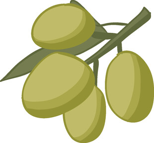橄榄枝上的青橄榄