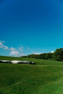 广阔绿野上的蓝天美景