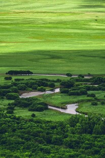 广袤绿野间蜿蜒的河流