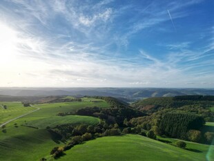 广袤绿野上的蓝天白云