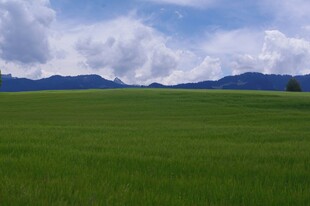 广袤草原与远处山峦