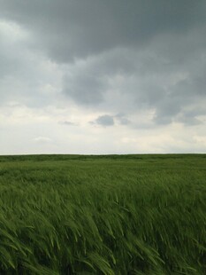 广袤绿野上的阴沉天空