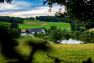 田园风光中的宁静乡村景色