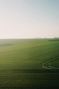 广袤绿野中的蜿蜒车辙