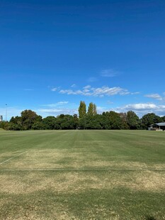 广阔绿草地与蓝天绿树
