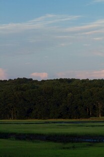 黄昏下的森林与开阔草地