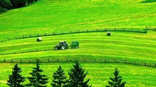 田园牧歌式的绿色田野风光