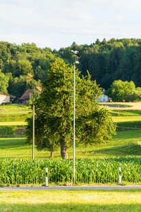 田园风光中的绿树与田野