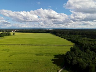 广袤绿野与蓝天白云美景