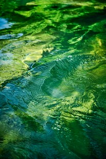 波光粼粼的翠绿水面