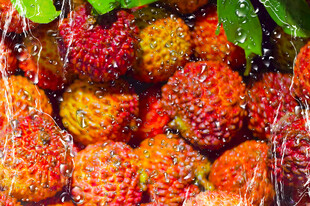 诱人新鲜荔枝图片