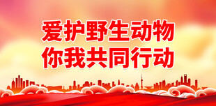 保护野生动物