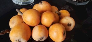 新鲜饱满的橙黄色枇杷