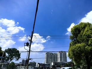 蓝天白云下的城市街景