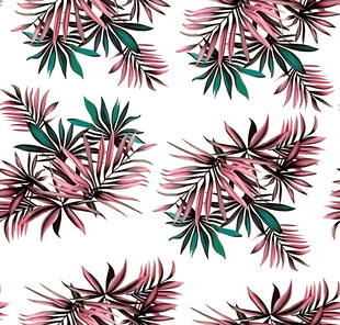 热带植物