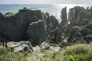 海边嶙峋怪石与绿植景观