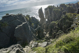 海岸嶙峋怪石与葱郁植被