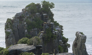 海边嶙峋怪石与绿植景观