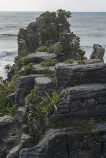 海边嶙峋岩石与绿植景观