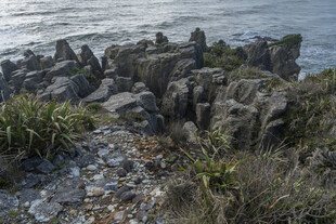 海边嶙峋怪石与绿植景观