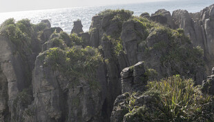海边嶙峋怪石与绿植景观