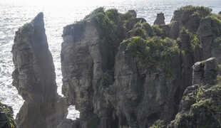 海边嶙峋怪石与绿植景观