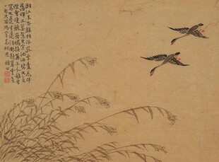 秋江芦荡飞鸟图