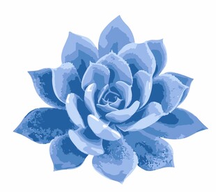 蓝色多肉植物花朵矢量图