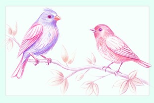 手绘鸟插图