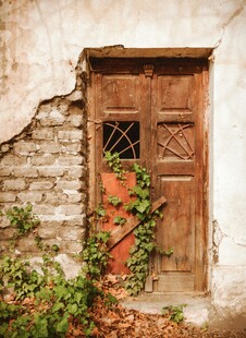 破旧木门爬满绿色藤蔓