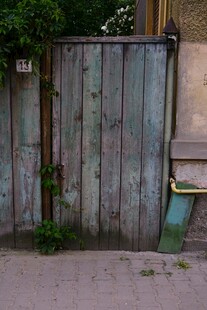 老旧木栅栏与绿植景象