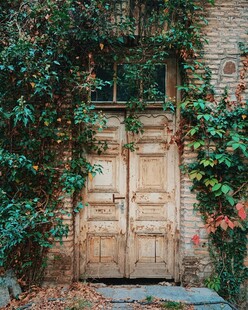 爬满绿植的古朴双开门