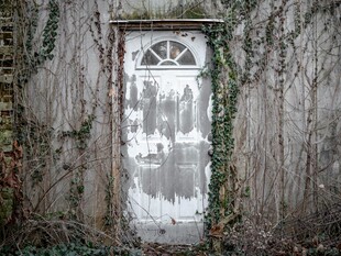 被藤蔓覆盖的老旧白色门