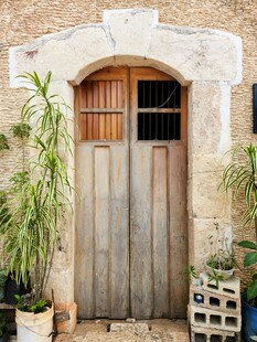 古朴木门旁的绿植景致