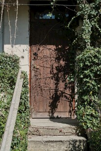 老旧木门被绿植环绕