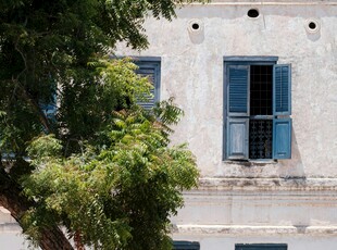 蓝窗白墙旁的葱郁绿树