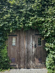藤蔓覆盖的古朴木质门