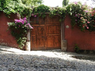 古朴木门旁的烂漫花卉