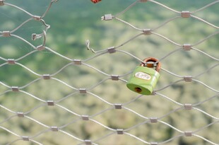 蛛网挂着的绿色果实