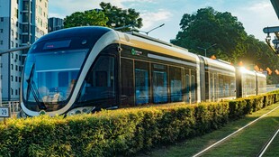 现代有轨电车穿行于绿植间