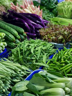 新鲜多样的蔬菜陈列