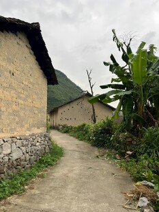 乡村小道旁的古朴民居
