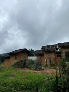 乡村古朴民居绿意环绕