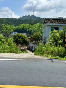 路边荒废建筑与葱郁植被