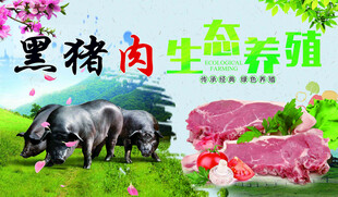 生态养殖黑猪肉